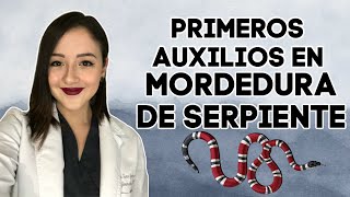 ¿Qué hacer si te muerde una serpiente 🐍┃Manejo inicial por Dra Ana Guajardo [upl. by Llenehs90]