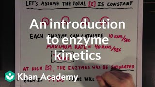 An introduction to enzyme kinetics  Chemical Processes  MCAT  Khan Academy [upl. by Monty]