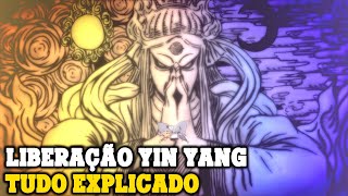 LIBERAÇÃO YIN ANG DE NARUTO  TUDO EXPLICADO [upl. by Naggem]