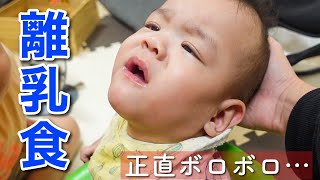 【1歳児】早産500gで生まれた弟の離乳食が全然進みません… [upl. by Goda931]