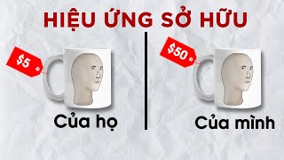 Endowment Effect Tại sao chúng ta lại tiếc của  THANH CONG TC [upl. by Hemminger378]