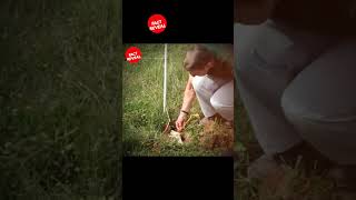 Amazing way of testing fertility of soil shorts [upl. by Grose26]