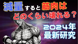 【筋トレ科学】減量すると筋肉はどのくらい壊れるの？ 2024年最新研究 [upl. by Notirb177]