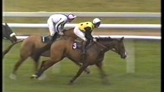 1988 A F Budge Gold Cup Handicap Chase [upl. by Erodoeht831]