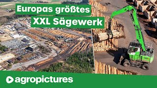 Größtes Sägewerk Europas – Ziegler Group  SENNEBOGEN 735E Pick amp Carry Umschlagbagger  Holz Doku [upl. by Alice310]