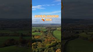 Autumn colours Ireland 2024 ireland droneireland aerialireland [upl. by Werdma]