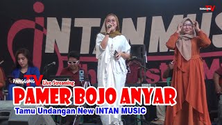 Pamer Bojo Anyar  Tamu Undangan  New INTAN MUSIC [upl. by Jenna276]