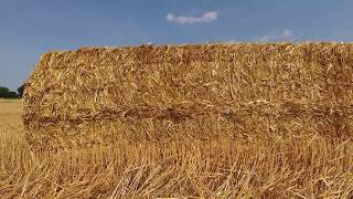 Large Straw Bales Harvested Wheat Soybeans and Corn [upl. by Nahoj]