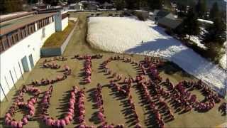 Anti Bullying Day Timelapse  Fruitvale Elementary School [upl. by Airol]