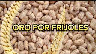 Oro por frijoles 🤣🤣🤣🤣🥰🥰 [upl. by Corrie]