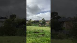 Jumping a Kmart bike of a Mountain bike track mtb ￼ [upl. by Bastian442]