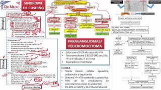 Sindrome de Cushing [upl. by Aduhey182]