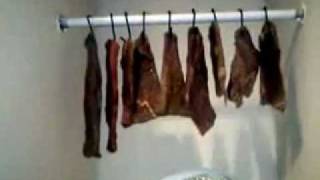 How to Make Biltong Part 4  Drying the Meat [upl. by Yroggerg]