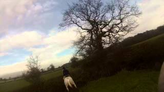 Alice Pearson amp The Ledbury Hunt The Rising Sun Meet 10th January 2014 [upl. by Mannie809]