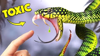 Bite of Rare Snake has Mysterious Venom [upl. by Dincolo]