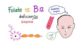 Folate Deficiency vs Vitamin B12 Deficiency  Diet and Nutrition  Hematology [upl. by Goodard]