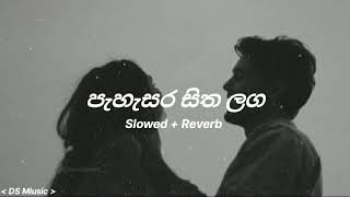 පැහැසර සිත ලග  pahasara Sitha Laga  Slowed  Reverb [upl. by Nnyltiac]