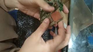 unboxing paket FAWZIA CELL [upl. by Egas553]