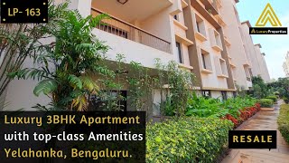 LP 163 Resale Luxury 3BHK Apartment  Yelahanka North Bengaluru  Luxury Properties [upl. by Buiron]