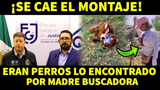 ¡SE CAE EL MONTAJE ERAN PERROS LO ENCONTRADO POR MADRE BUSCAD0RA [upl. by Nehtan]