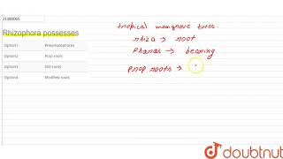 Rhizophora possesses  12  ROOT  BIOLOGY  DINESH PUBLICATION  Doubtnut [upl. by Blane822]