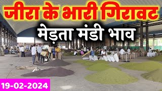 जीरा में भारी गिरावट  Jeera Bhav  Moong Bhav  Merta Mandi Bhav Today 19022024 [upl. by Deerdre]