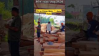 why I have to come in chiran🧐🤨🤪minivlog rdxvlogs shorts petvlog woodworking [upl. by Petite]