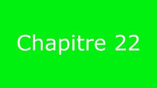 Le Petit Prince  Antoine de SaintExupéry  CHAPITRE 22 [upl. by Topliffe]