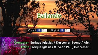 Bailando  Enrique Iglesias Karaoke Version [upl. by Nakasuji]