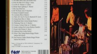 The Animals  Animals Blues Years Full Album [upl. by Ydnim893]