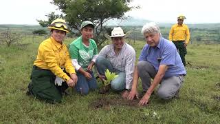 Cuitláhuac García cierra sexenio con más de 11 millones de árboles sembrados [upl. by Vonnie13]