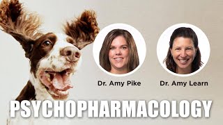 Dog Psychopharmacology  Dr Amy Pike amp Dr Amy Learn [upl. by Curtis651]