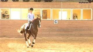 Dressage Exercise  Flying changes [upl. by Auhs]