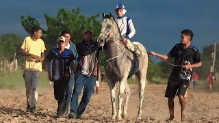 Corrida de Cavalos em ALEGRE DO PIAUÍ  João Costa PI  Torneio [upl. by Caspar]