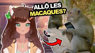 Lovi appelle les macaques  🍌🐒 Fortnite [upl. by Lyreb611]