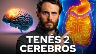 Tu SEGUNDO CEREBRO y tu BIENESTAR [upl. by Ileray]