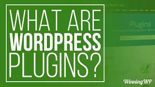 What Are WordPress Plugins  And How To Use Them [upl. by Ashman]