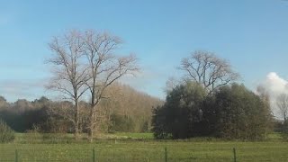 Natuur in Vlaanderen  met de trein van Gent naar Oostkamp [upl. by Haissem]