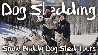 Snow Buddy Dog Sled Tours  Best Steamboat Springs Adventure [upl. by Ahsak]