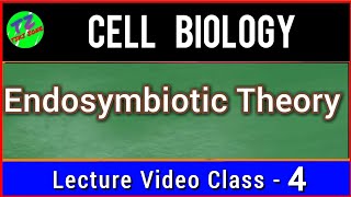 Endosymbiotic Theory  Symbiogenesis  Evolution Of Eukaryotic Cell [upl. by Freda756]