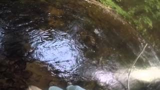 Adirondack Small Stream Fly Fishing [upl. by Lirpa592]