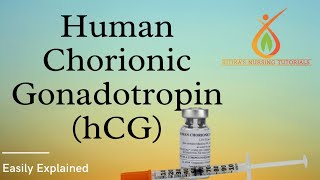 Human Chorionic Gonadotropin  HCG  Hindi Explanation  Value  Functions [upl. by Adnicul848]