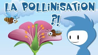 La pollinisation explication 12 [upl. by Robbyn473]