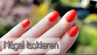 Nägel sauber lackieren  Tutorial  Collchen14 [upl. by Lirret]