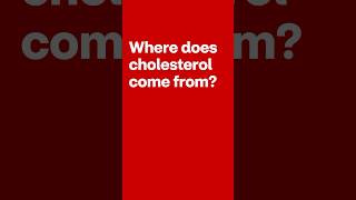 Where Does Cholesterol Come From shorts [upl. by Coop526]