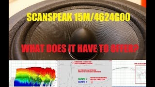 DIY Midrange  Scanspeak 15M4624g00 Test and Review [upl. by Akirahs]