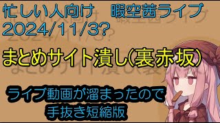 忙しい人向け 左翼活動家がまとめサイトを潰していた？裏赤坂物語 113 暇空茜 live無音編集短縮版 filmora [upl. by Rosalba]