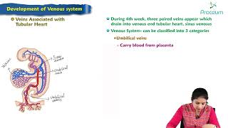 Development Venous system  Embryology Lecture [upl. by Gamaliel]