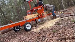 Loblolly Pine into 2x4s WoodMizer LT15 turns Beam into eight 2x4 boards [upl. by Annalise]