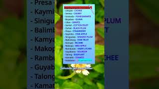 English Tagalog Translation Daily Tagalog Vocabulary Words educationalvideo translation everyone [upl. by Atirehs]